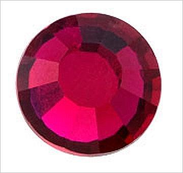fuchsia fuchsia